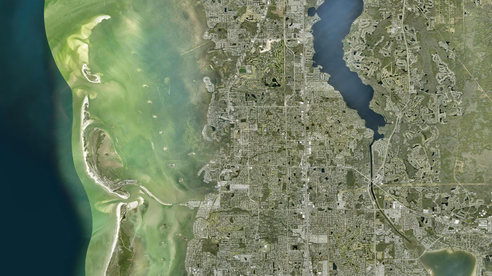 True overhead satellite view of Palm Harbor, Florida, showing residential areas, Lake Tarpon and the Gulf coast